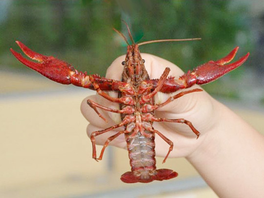 水產養殖清洗后